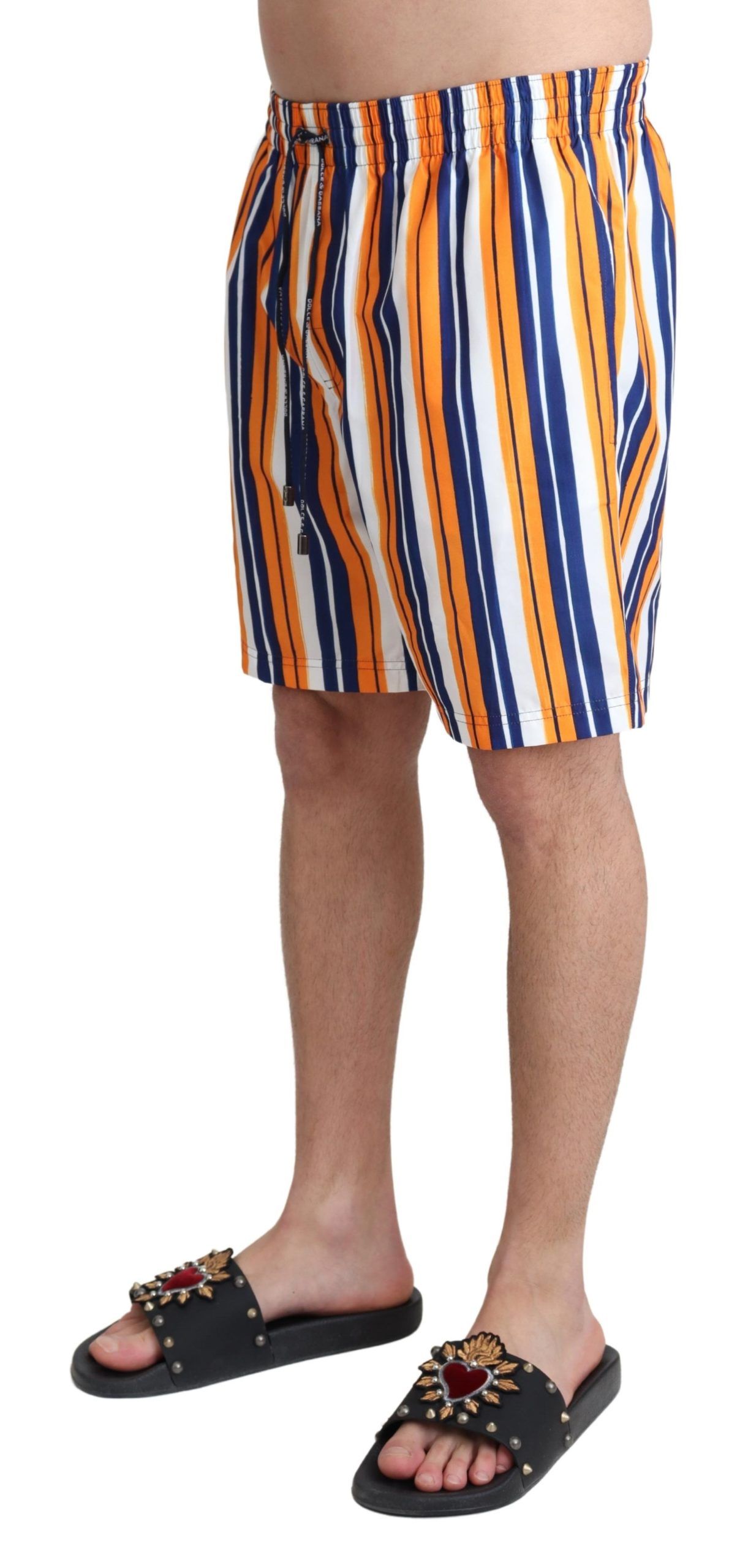 Multicolor Striped Swim Shorts Trunks hover