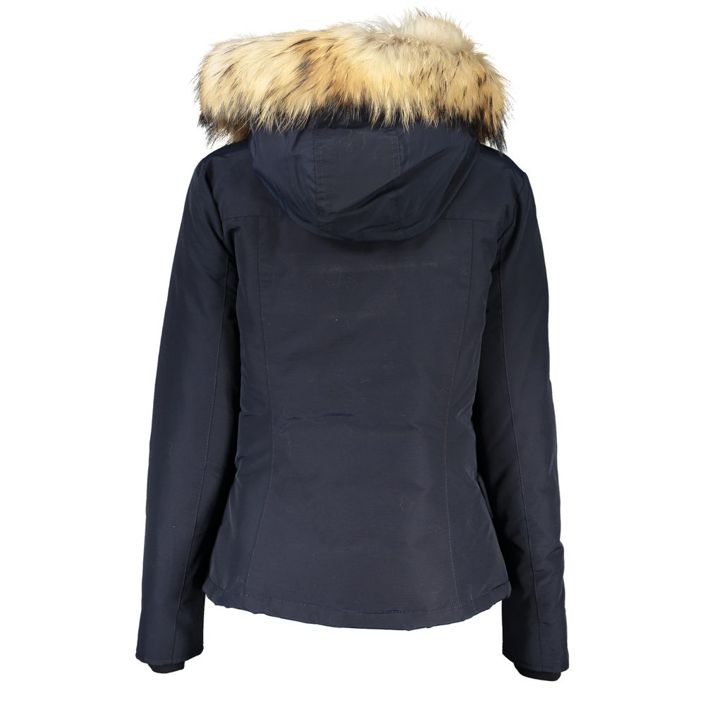 Arctic Raccoon Blue Coat  hover