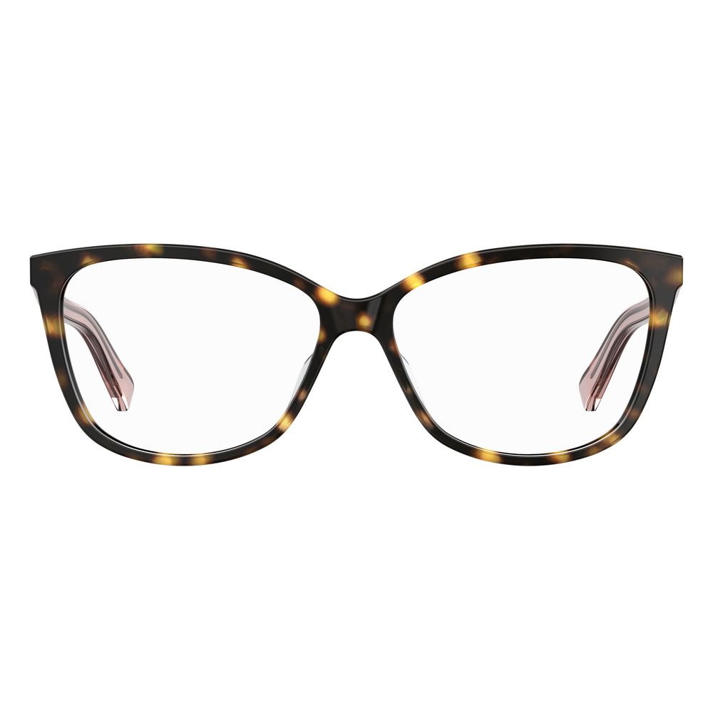 Bicolor Acetate Glasses (Frames) hover