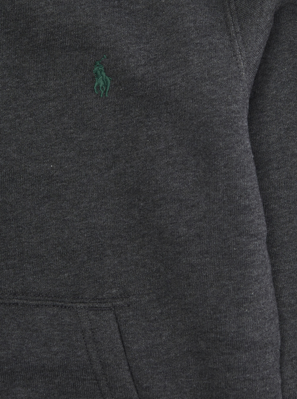 Grey Hoodie with Fixed Hood and Pony Embroidery on the Front in Cotton Blend Boy hover