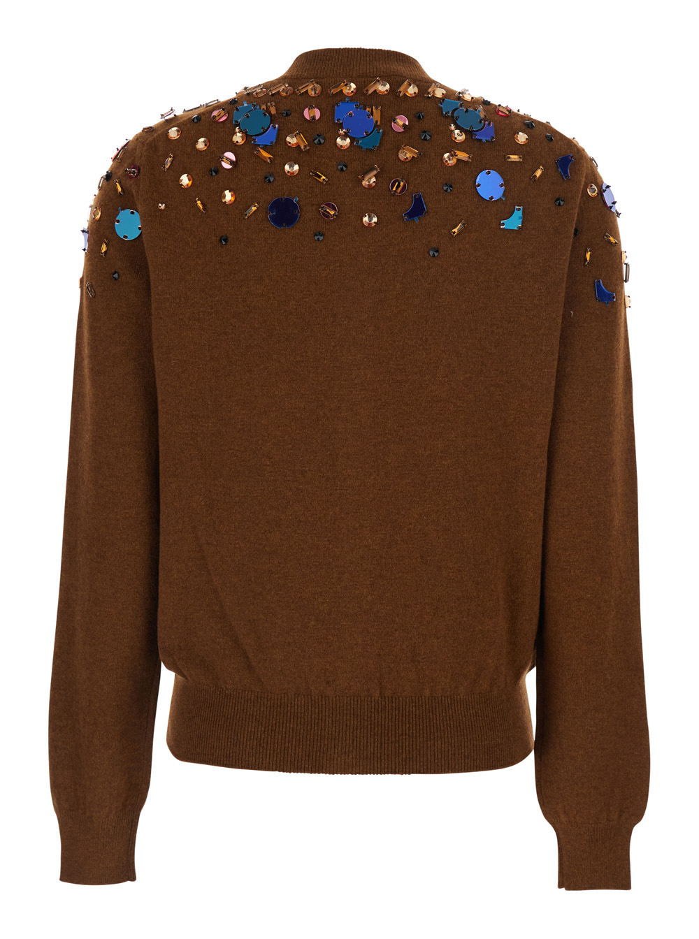 Brown Crewneck Cardigan with Rhinestone Embroidery in Wool and Cashmere Woman hover